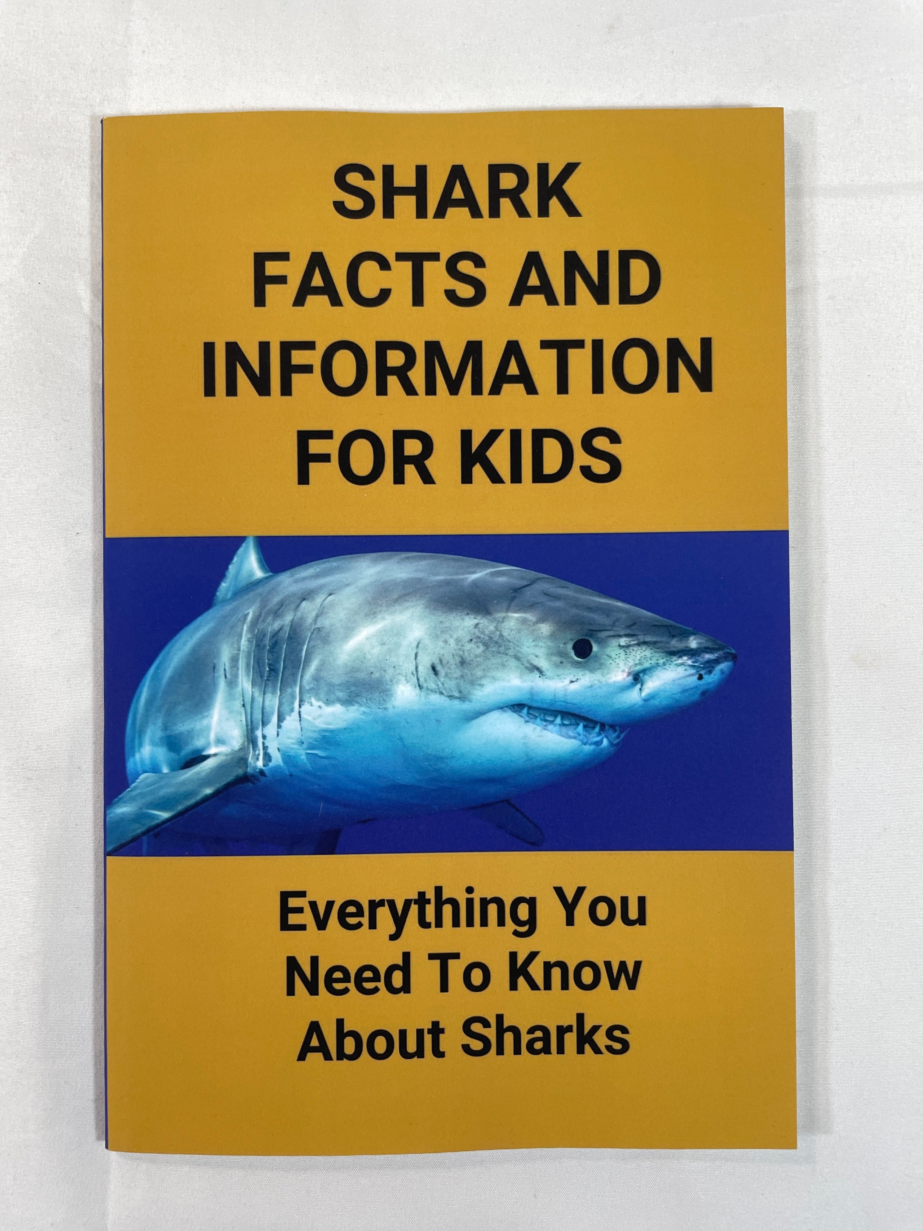 Shark Facts And Information For Kids Everything You Need To Know About